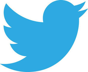 Twitter_nouveau_logo.jpg